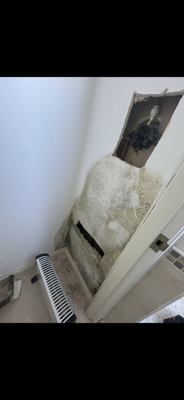 Mould from hidden leak