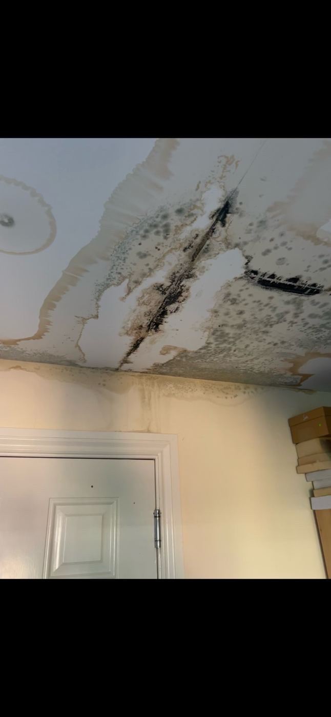 Ceiling leak damage