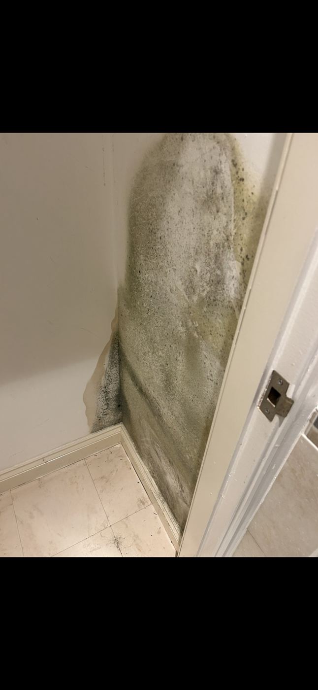 Hidden moisture damage