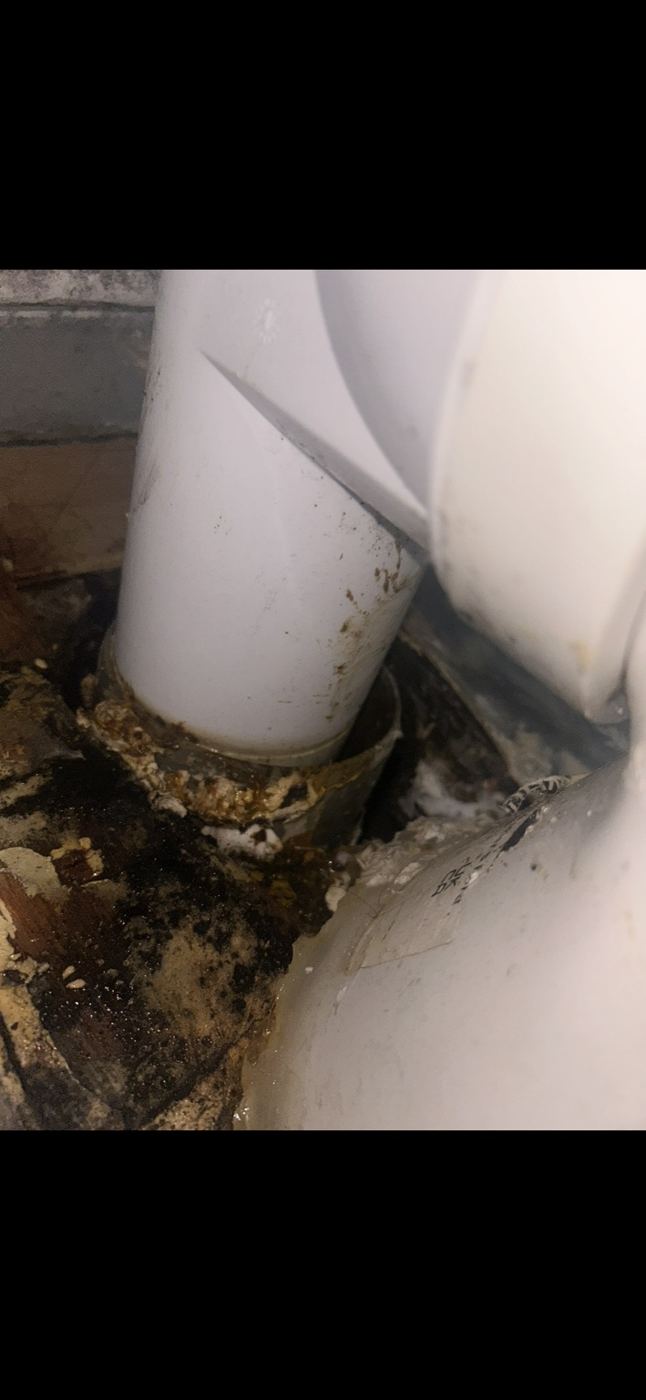 Waste pipe repair