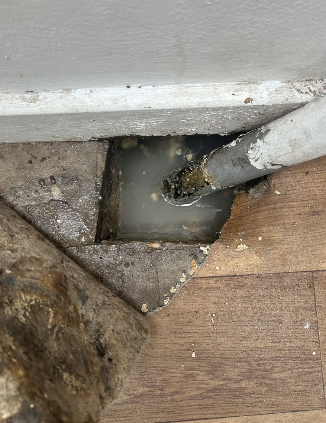 Sanitary leak damage